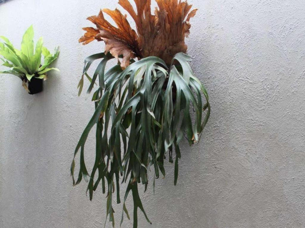 Casa Living Setiabudi Jacarta Exterior foto